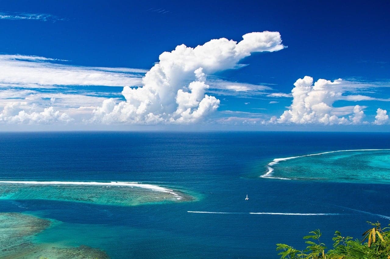 Coral Island