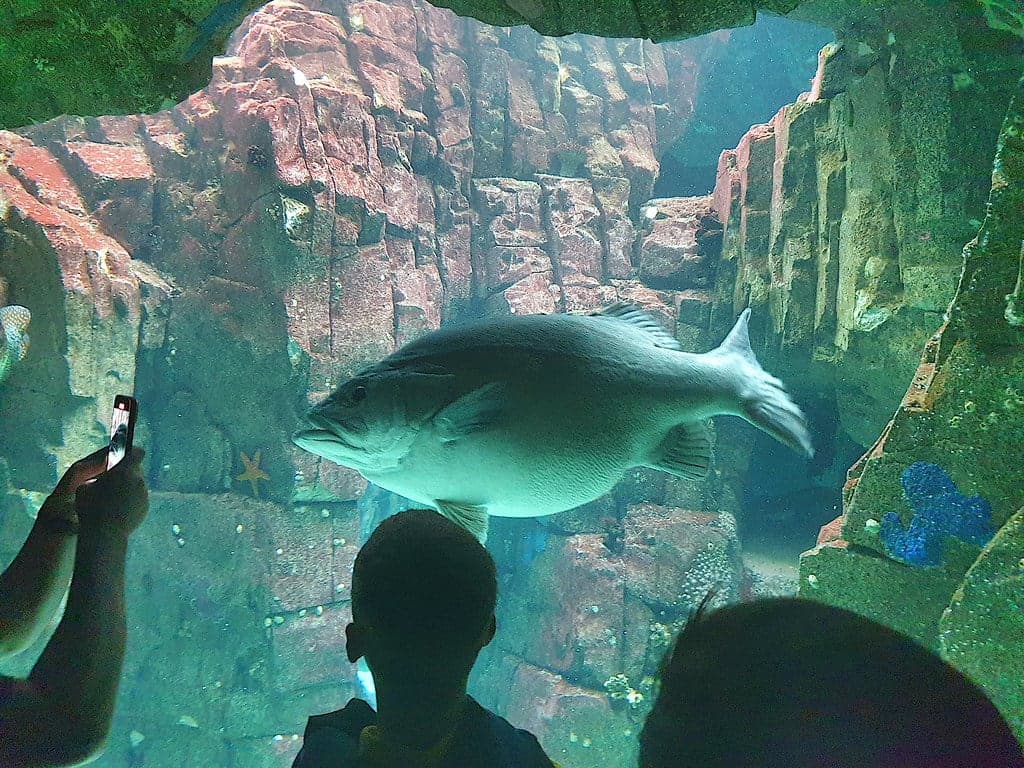 Oceanario de Lisboa