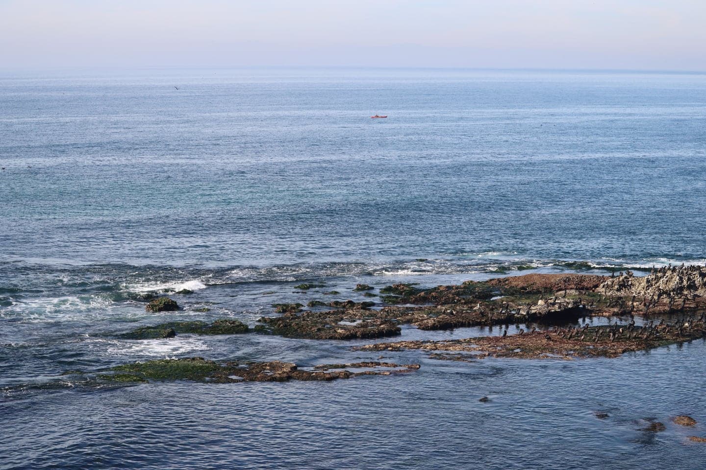 La Jolla Kayak